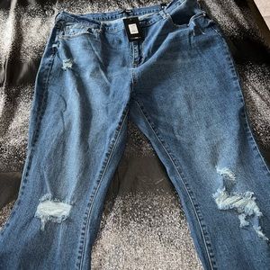 Rough Rider Distressed Flare Jeans